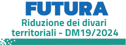 DM 19