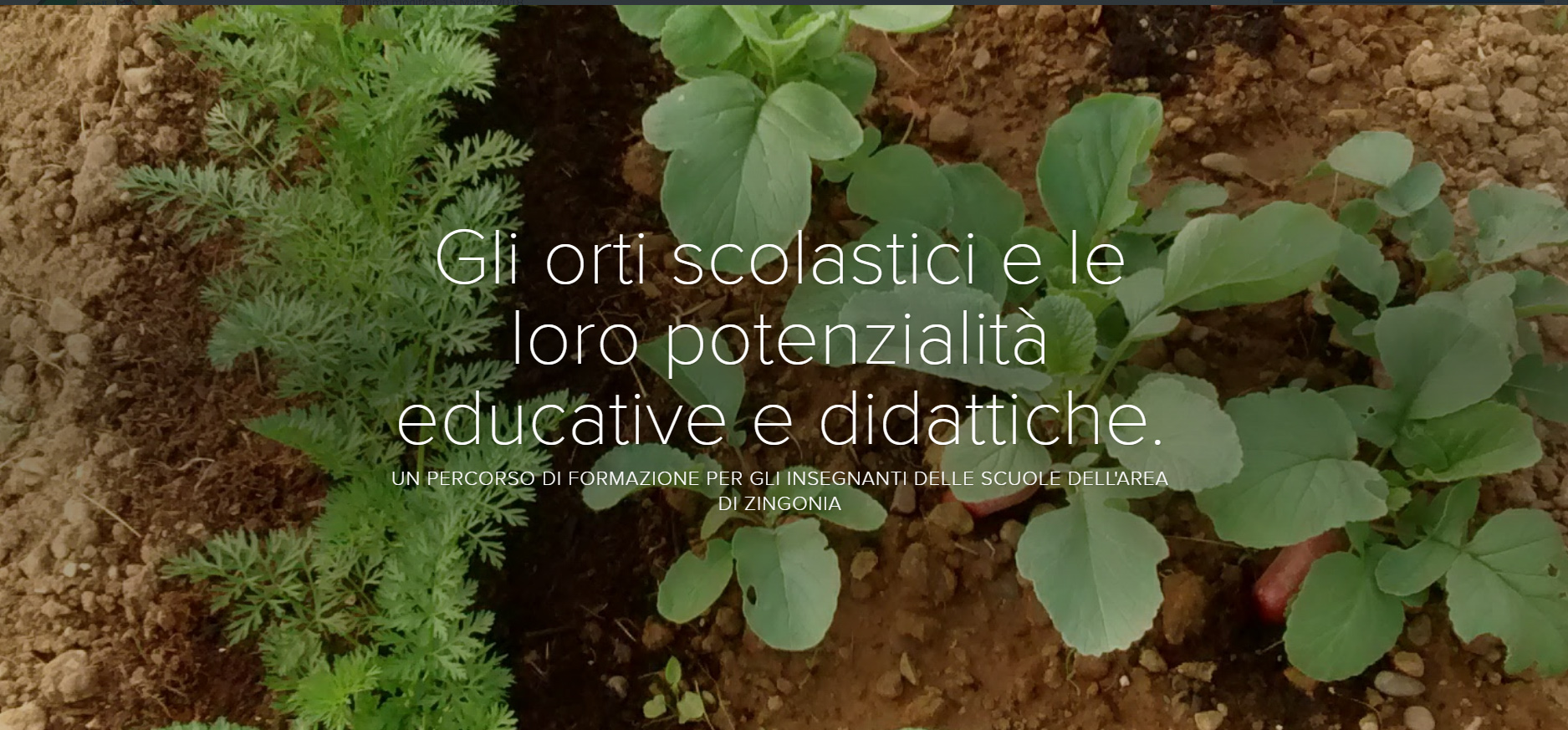Gli orti scolastici e le loro potenzialità educative e didattiche