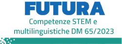 DM 65