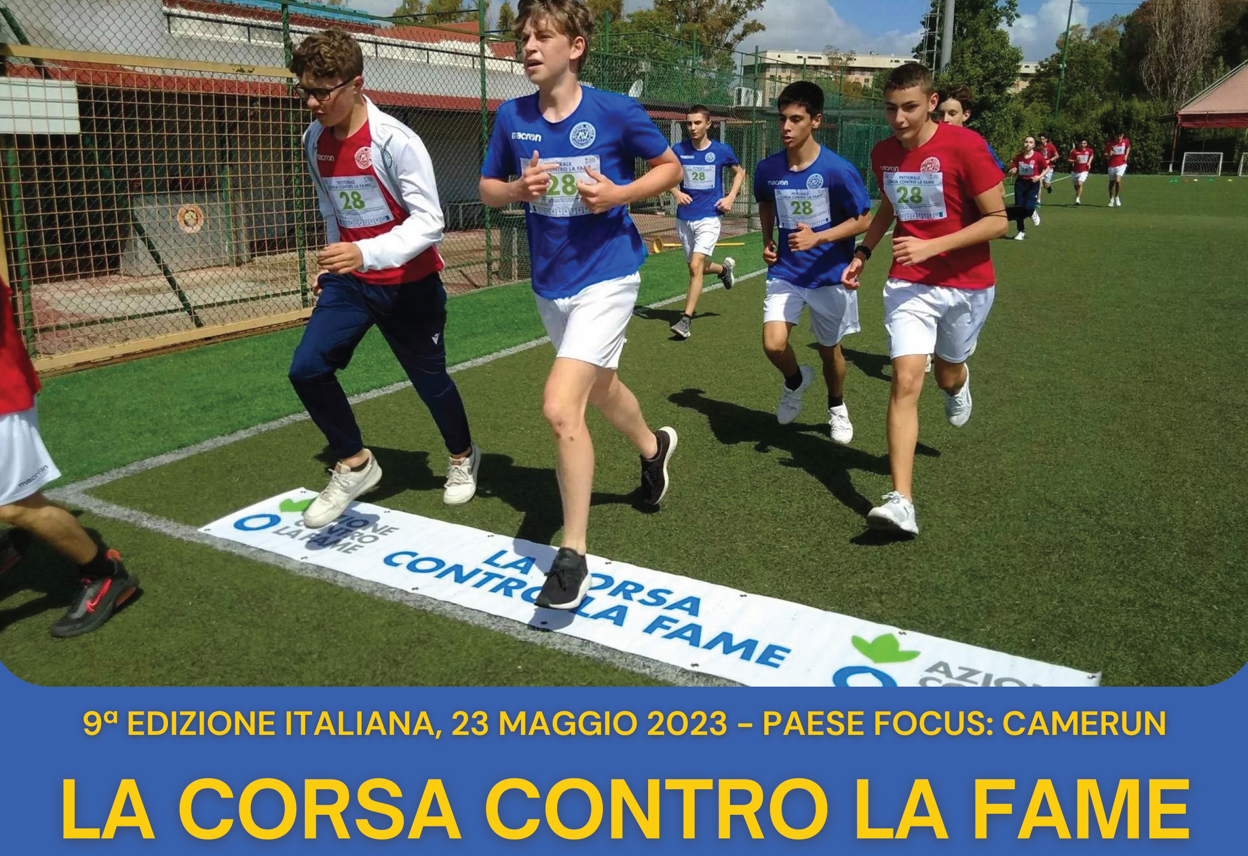 Informazioni testuali riportate nell'articolo