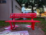 IMG-20211124-WA0007