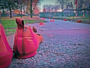 IMG20211124151626