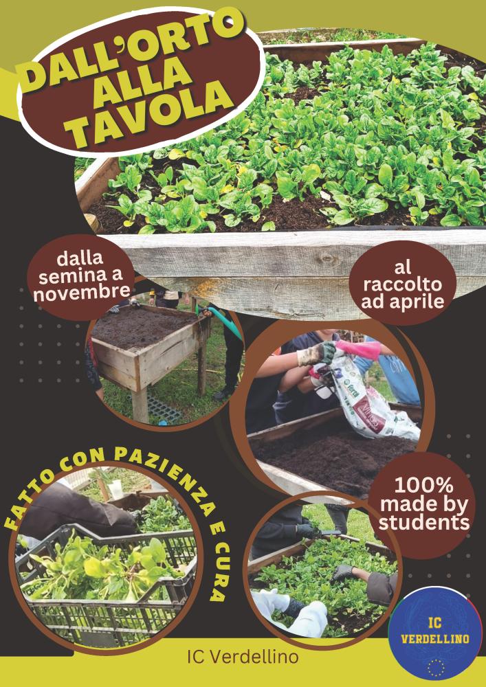 dallorto-alla-tavola-2
